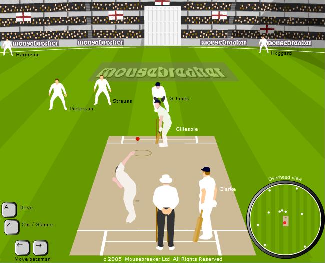 Cricket Playing Positions