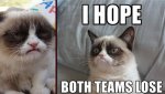 281922-grumpy-cat.jpg