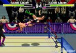 wwf-wrestlemania-the-arcade-game-20081202013659886_640w.jpg