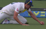 starc.png