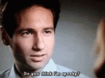 mulder-doyouthinkimspooky.gif