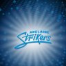 AdelaideStrikers84