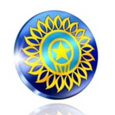 Cricket Logo India