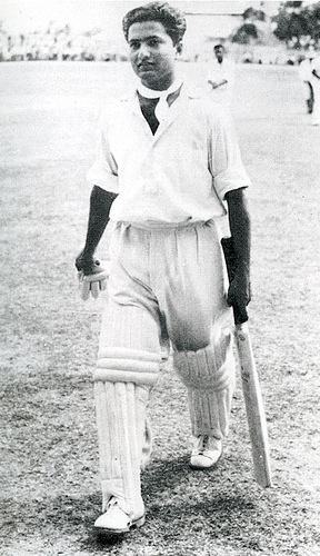 Cricket