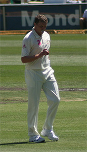 Siddle & Gough - honour without success in Ashes contests