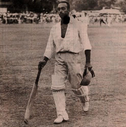 Better than Bradman?