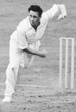 Brian Statham - The Greyhound