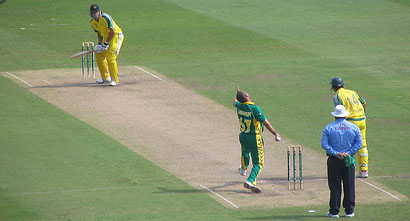 Cricket Web