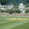 A Wellington batsman hits the ball into the off side