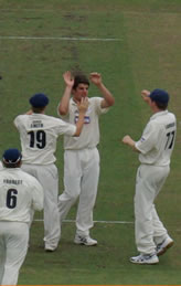 Moises Henriques celebrates a wicket with his team mates
